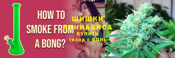 ПСИЛОЦИБИНОВЫЕ ГРИБЫ Нея