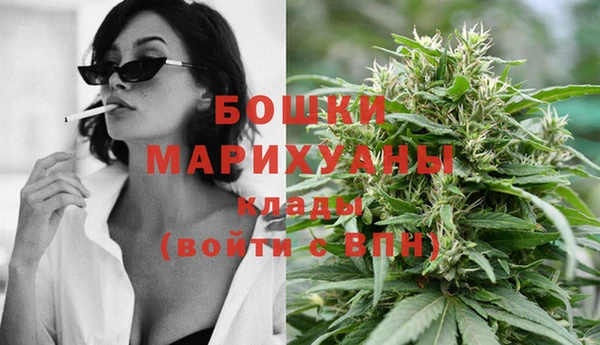 ПСИЛОЦИБИНОВЫЕ ГРИБЫ Нея
