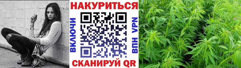Бошки марихуана индика  наркота  Боготол 